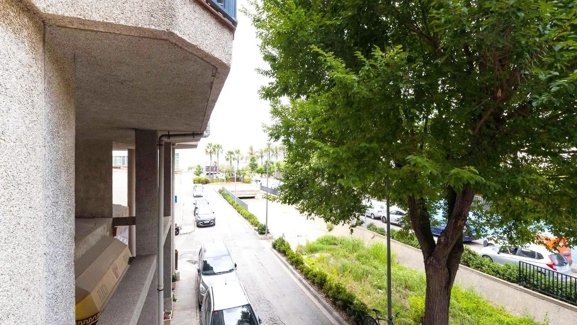 Spacious Apartment In The Heart Of Roses